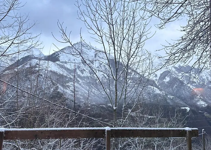 Bergerie Goicolea Viscos